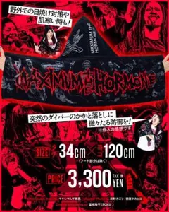 希少 年代物 ルパン三世 バスタオル モンキーパンチ ルパン