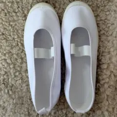 ビニールバレーシューズ 23.0cm ホワイト