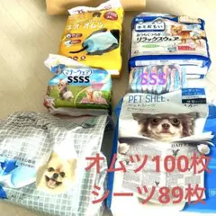 Item thumbnail for item 941d9382-140f-448e-b049-3adc1cdd8eed