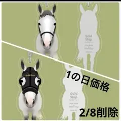 限定価格　ゴールドシップ♡アクリルキーホルダー2種セット　推し活/イケメン