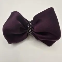 Item thumbnail for item af10545c-11cd-4142-acbb-ca8de4624dab