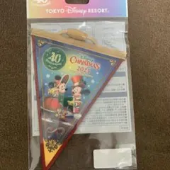新品　ディズニー　40周年　ドリームガーランド　　クリスマス　ウォームウィッシュ