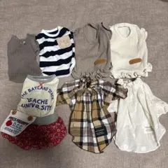 小型犬服7点セットのサムネイル