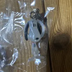 PEANUTS めじるしアクセサリー FUNNY ver. スヌーピーA