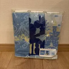 未使用【TDR】バケーションパッケージ　特典　タオルハンカチ3枚セット