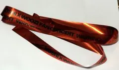 SEVENTEEN HOSHIX WOOZI WARNING ホシウジ 銀テープ