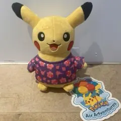 ポケモン 25周年 アメリカ ピカチュウ ペアぬいぐるみ トレーナー 海外限定 アメリカ限定 ポケモンセンター 25周年限定 ピカチュウ 主人公 ペア