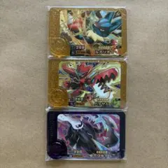 ポケモンフレンダ　ベストタッグ　5だん　スーパートレジャー　ルカリオ　ダークライ