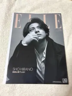 増刊 ELLE JAPON 特別版 2023年11月号 2冊 - メルカリ