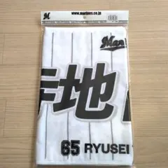 Item thumbnail for item a8fa264f-cfe3-494d-af2e-5e5d3e52b4e3