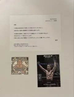 朝倉未来 シール・ステッカー