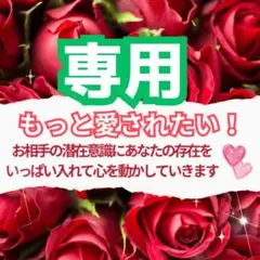 M様専用　6/1分　3千円オフ！潜在意識を書き換えて、思考から行動を変えて行く