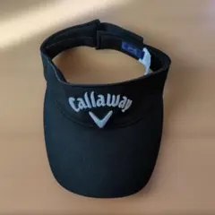 Item thumbnail for item 11dc2a30-c573-44ea-b78b-6905e4fbf894