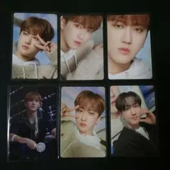 チャンビン DICON トレカ