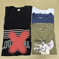 Item thumbnail for item 02a6c530-cfee-4ed0-ba87-54b3e93b35c2