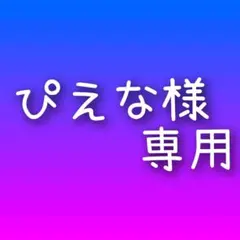 ぴえな様 リクエスト 3点 まとめ商品