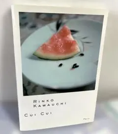 川内倫子 写真集 Cui Cui 第2刷