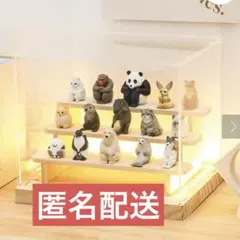 新品未開封　3coins スリーコインズ LED付きアクリルディスプレイボックスのサムネイル