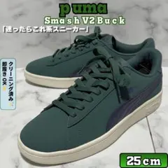 PUMA SMASH V2 Buck グリーン 25cm スエード調のサムネイル