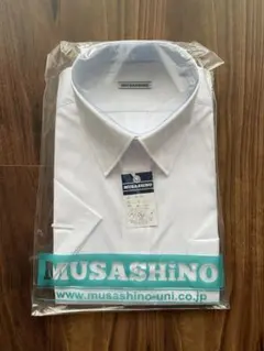 Item thumbnail for item a868cfd1-750c-4737-9935-49f48ba43aa3