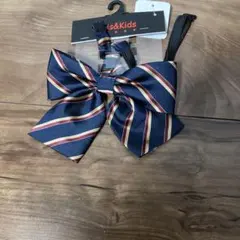 Item thumbnail for item 0d8232c6-10b0-4836-b947-71c8489d59c9