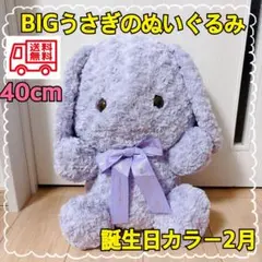 ハッピーバースカラーロップイヤー　ローズボアハートＬサイズ 6体セット 楽天市場】【誕生日のプレゼントにおすすめ】ぬいぐるみ うさぎ 動物