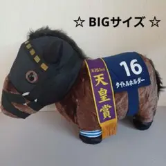 2025年最新】サラブレッドコレクションbig タイトルホルダーの