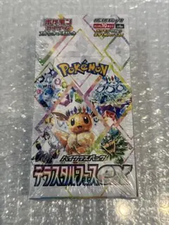 新品未開封　シュリンク付き　ポケモンカード テラスタルフェスex 2BOX テラスタルフェスex 1カートン 未開封・シュリンク付き 20BOX 20BOXの