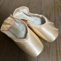 Item thumbnail for item 5a63fb86-33e5-45a3-8822-69af393ecae6