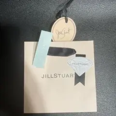 Item thumbnail for item 416909db-4e8a-493f-ab55-61be28274632