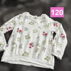 ブランシェス 120 トップス