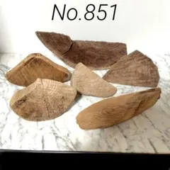 流木【851】セール