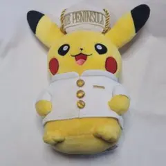 2025年最新】ペニンシュラ ピカチュウの人気アイテム - メルカリ