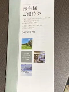 【匿名配送】東急不動産ホールディングス　株主優待　100株