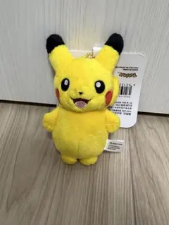 ピカチュウ ポケモンセンター　ぬいぐるみキーチェーン