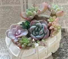 m*co (プロフご一読下さい)様 リクエスト 2点 まとめ商品