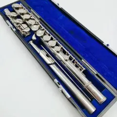 2026年最新】ニッカン フルートの人気アイテム - メルカリ