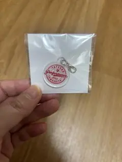 山下達郎　チャーム　キーホルダー