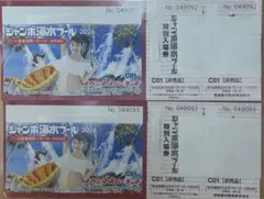 長島ジャンボ海水プール 特別入場券 2枚セット