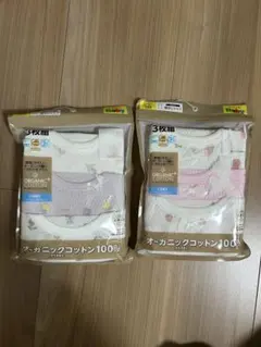 Item thumbnail for item b32d45aa-094b-4a46-8b3c-3716627bcd17