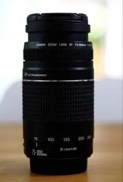 2026年最新】Canon LENS EF 75-300mm 1:4-5.6の人気アイテム - メルカリ