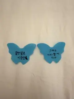 DxS SERENADE 仁川 大邱　蝶　落下物