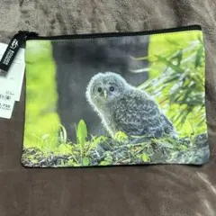 Item thumbnail for item f4277eba-bb5a-4811-816c-014b8548690b