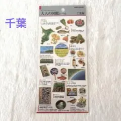 ⚫︎⚫︎大人の図鑑シール⚫︎⚫︎　⚫︎千葉編