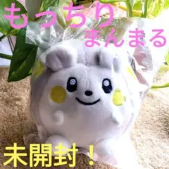 2025年最新】もっちりまんまる トゲデマルの人気アイテム - メルカリ