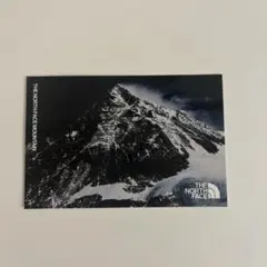 ノースフェイス　店舗限定ステッカー　非売品