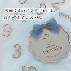 両面使える⋆デイリー＆マンスリーフォトプレート┊︎マタニティ~1歳までずっと♩