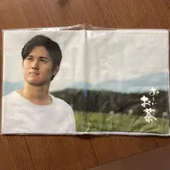 Item thumbnail for item 94c36775-e1b5-486c-897c-62e5907672ef