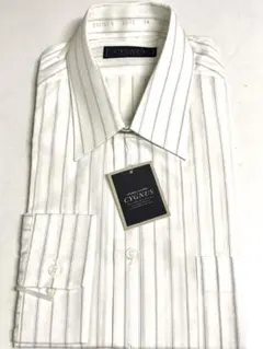 Item thumbnail for item e73338eb-95f6-4b39-93c1-ed27cb20012a