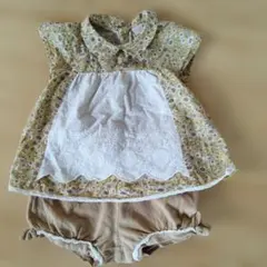 petit main セットアップ